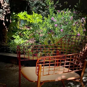  Apartamento Loquat House Nel Giardino Segreto In Zona Vaticano Italia